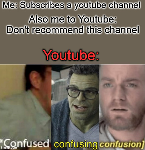 Youtube: Man, wtf you doing? |  Me: Subscribes a youtube channel; Also me to Youtube: Don't recommend this channel; Youtube: | image tagged in confused confusing confusion,youtube,channel,subscribe | made w/ Imgflip meme maker