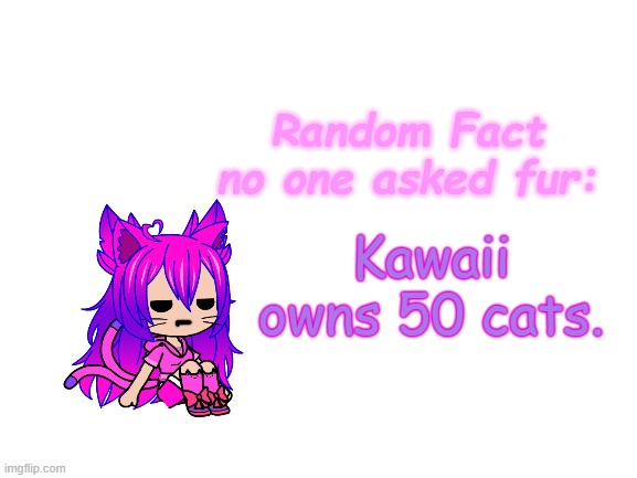 they're all from Cloudstar's clan, CloudClan | Kawaii owns 50 cats. | image tagged in random fact idea totally not stolen from carlos | made w/ Imgflip meme maker