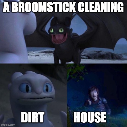 im running out of ideas if you see this fill me in on the comments | A BROOMSTICK CLEANING; DIRT             HOUSE | image tagged in toothless presents himself | made w/ Imgflip meme maker