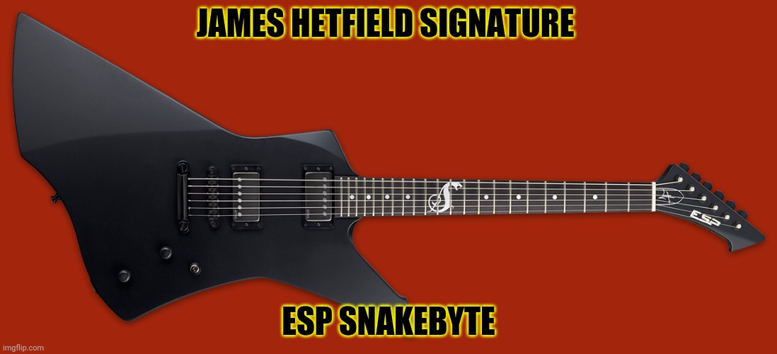 JAMES HETFIELD SIGNATURE ESP SNAKEBYTE | made w/ Imgflip meme maker