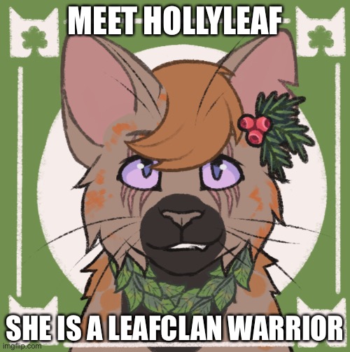 HollyLeaf | MEET HOLLYLEAF; SHE IS A LEAFCLAN WARRIOR | image tagged in warrior cats | made w/ Imgflip meme maker