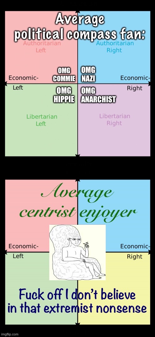Average centrist enjoyer Blank Meme Template