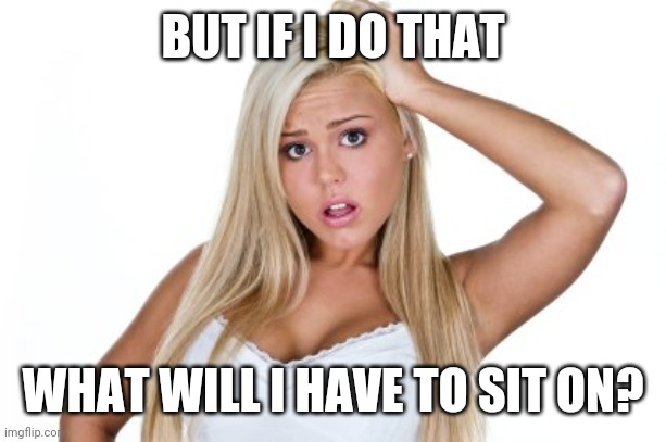 Dumb Blonde | BUT IF I DO THAT WHAT WILL I HAVE TO SIT ON? | image tagged in dumb blonde | made w/ Imgflip meme maker