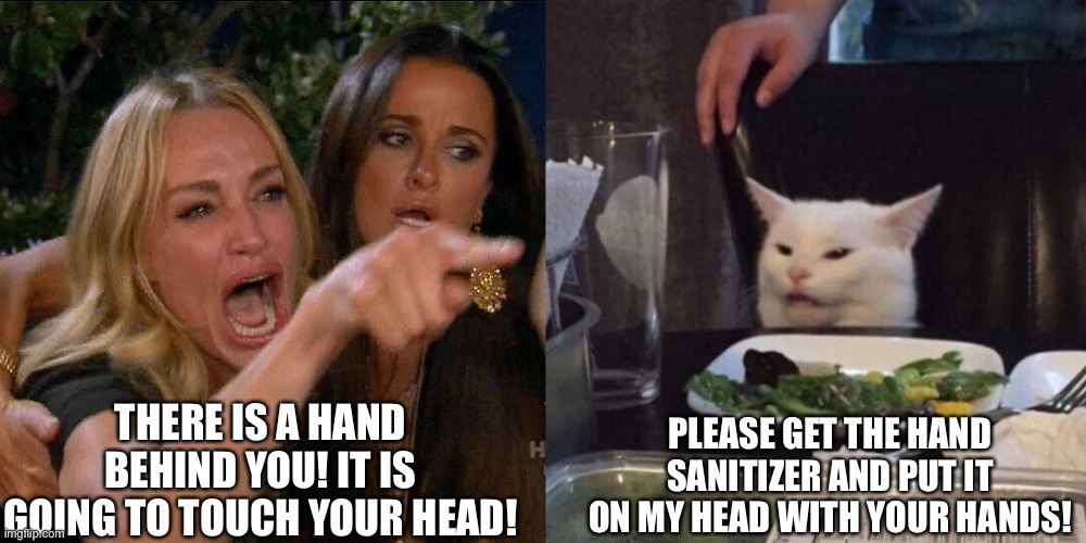 Coronavirus | THERE IS A HAND BEHIND YOU! IT IS GOING TO TOUCH YOUR HEAD! PLEASE GET THE HAND SANITIZER AND PUT IT ON MY HEAD WITH YOUR HANDS! | image tagged in woman yelling at cat,hands,hand sanitizer,touch,coronavirus,germs | made w/ Imgflip meme maker