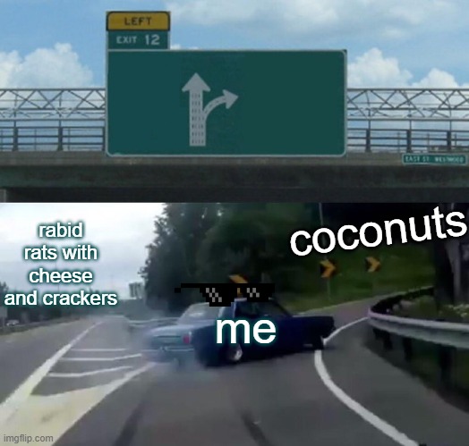 coco coco land instead of crackers and cheese | rabid rats with cheese and crackers; coconuts; me | image tagged in memes,left exit 12 off ramp,funny,hahaha | made w/ Imgflip meme maker