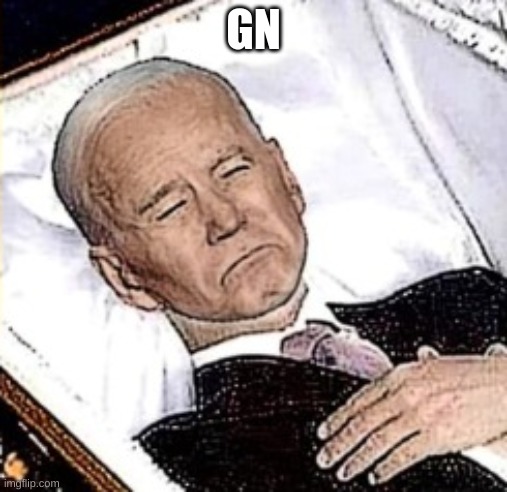 GN | image tagged in biden | made w/ Imgflip meme maker