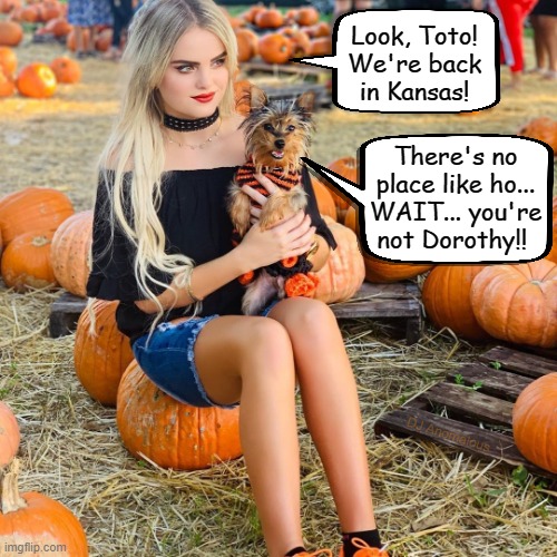 Alternate movie ending | Look, Toto!
We're back
in Kansas! There's no place like ho... WAIT... you're
not Dorothy!! DJ Anomalous | image tagged in toto,dorothy,wizard of oz,alternate reality,classic movies,funny dog | made w/ Imgflip meme maker