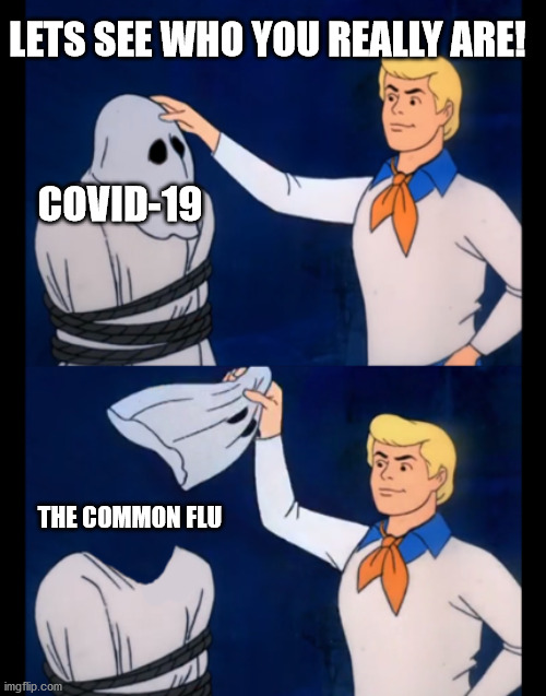 LETS SEE WHO YOU REALLY ARE! COVID-19; THE COMMON FLU | made w/ Imgflip meme maker