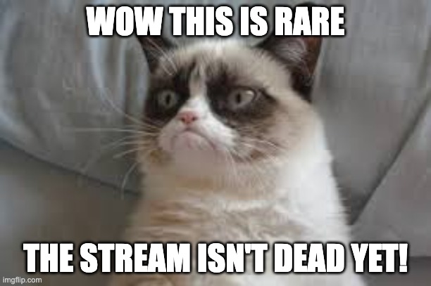 Grumpy cat | WOW THIS IS RARE; THE STREAM ISN'T DEAD YET! | image tagged in grumpy cat | made w/ Imgflip meme maker