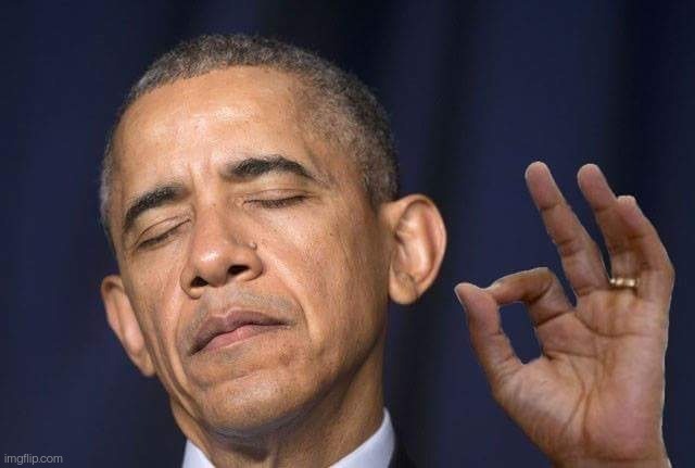 Obama appreciates | image tagged in obama appreciates | made w/ Imgflip meme maker