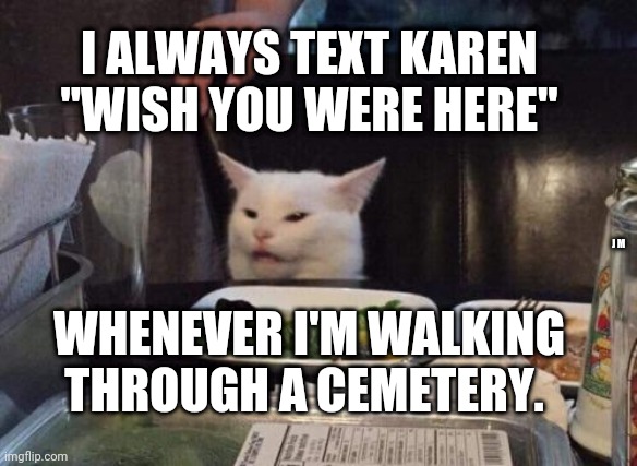 Salad cat | I ALWAYS TEXT KAREN "WISH YOU WERE HERE"; J M; WHENEVER I'M WALKING THROUGH A CEMETERY. | image tagged in salad cat | made w/ Imgflip meme maker