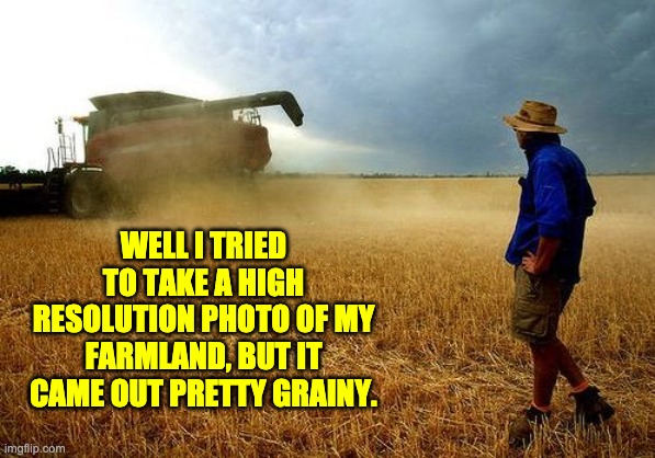 Photo | WELL I TRIED TO TAKE A HIGH RESOLUTION PHOTO OF MY FARMLAND, BUT IT CAME OUT PRETTY GRAINY. | image tagged in farmer | made w/ Imgflip meme maker