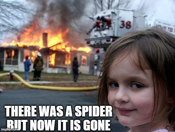 Meme | THERE WAS A SPIDER BUT NOW IT IS GONE | image tagged in memes,disaster girl | made w/ Imgflip meme maker
