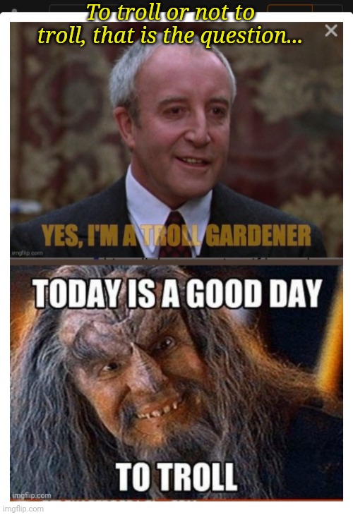 Troll Gardener | To troll or not to troll, that is the question... | image tagged in memes about memes,trolling the troll,trollbait | made w/ Imgflip meme maker