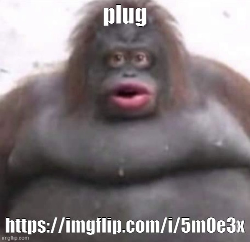 BET- | plug; https://imgflip.com/i/5m0e3x | image tagged in le monke | made w/ Imgflip meme maker