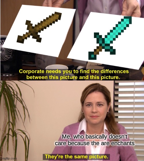 They're The Same Picture | Me, who basically doesn't care because the are enchants | image tagged in memes,they're the same picture | made w/ Imgflip meme maker