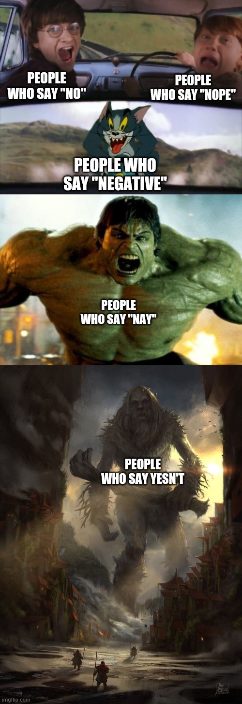 Signature look of superiority |  PEOPLE WHO SAY "NOPE"; PEOPLE WHO SAY "NO"; PEOPLE WHO SAY "NEGATIVE"; PEOPLE WHO SAY "NAY"; PEOPLE WHO SAY YESN'T | image tagged in tom chasing harry and ron weasly,hulk,giant thing vs small thing | made w/ Imgflip meme maker