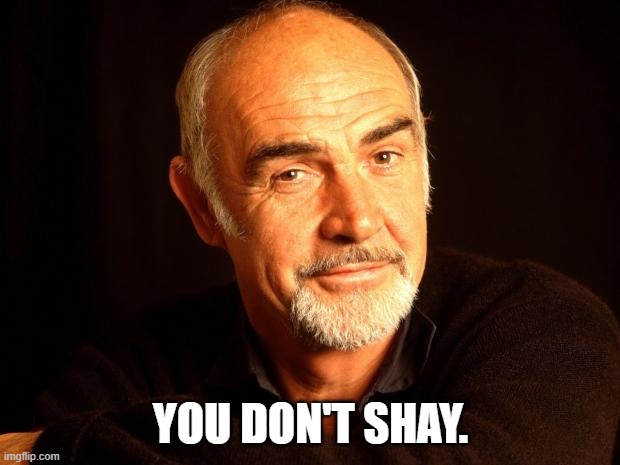 Sean Connery Of Coursh | YOU DON'T SHAY. | image tagged in sean connery of coursh | made w/ Imgflip meme maker