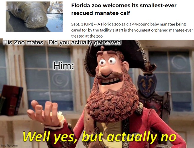 Get the meme? | His Zoo mates : Did you actually get saved; Him: | image tagged in memes,well yes but actually no | made w/ Imgflip meme maker