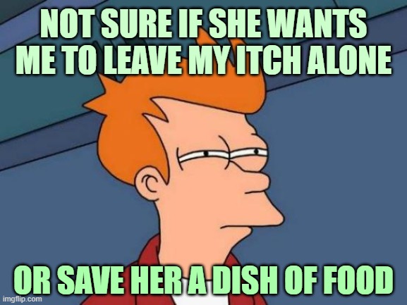 ▬▬ comment specific to my  repost meme, "I say 'I love you' to this meme" | NOT SURE IF SHE WANTS ME TO LEAVE MY ITCH ALONE OR SAVE HER A DISH OF FOOD | image tagged in comment | made w/ Imgflip meme maker