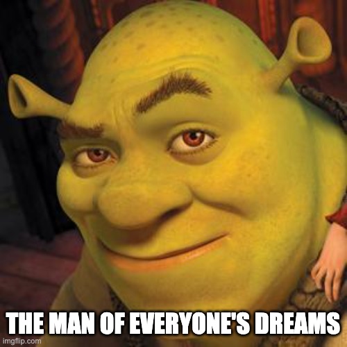 Shrek Sexy Face | THE MAN OF EVERYONE'S DREAMS | image tagged in shrek sexy face | made w/ Imgflip meme maker