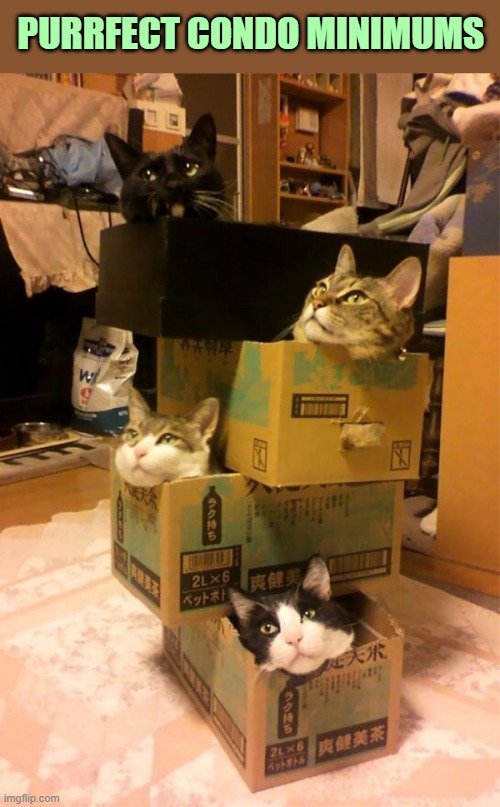 Luxury high-rise residential tower | PURRFECT CONDO MINIMUMS | image tagged in cats,funny cats,tower,boxes,animals,funny animals | made w/ Imgflip meme maker