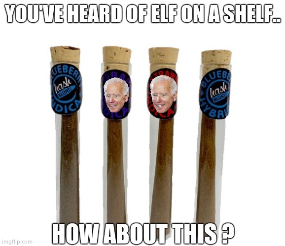 Joe's not here man. | YOU'VE HEARD OF ELF ON A SHELF.. HOW ABOUT THIS ? | image tagged in memes,creepy joe biden,blunt,funny memes | made w/ Imgflip meme maker