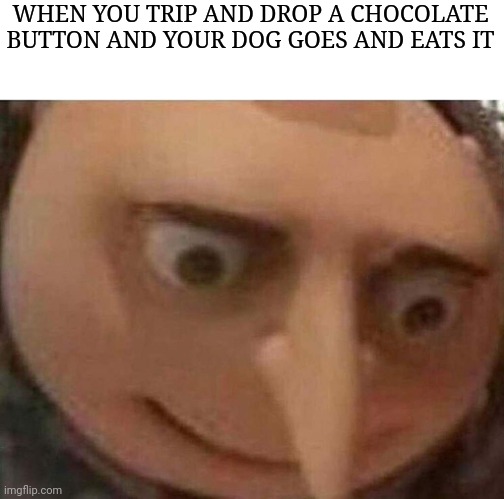 Well fu- | WHEN YOU TRIP AND DROP A CHOCOLATE BUTTON AND YOUR DOG GOES AND EATS IT | image tagged in gru meme | made w/ Imgflip meme maker