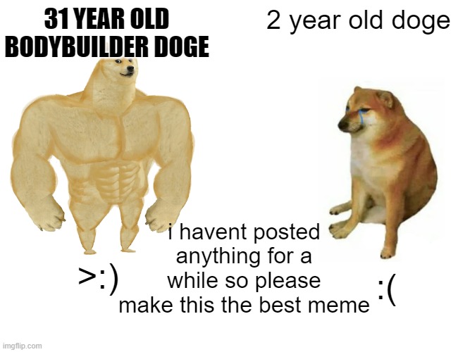 please make this the best meme | 31 YEAR OLD BODYBUILDER DOGE; 2 year old doge; i havent posted anything for a while so please make this the best meme; >:); :( | image tagged in memes,buff doge vs cheems | made w/ Imgflip meme maker