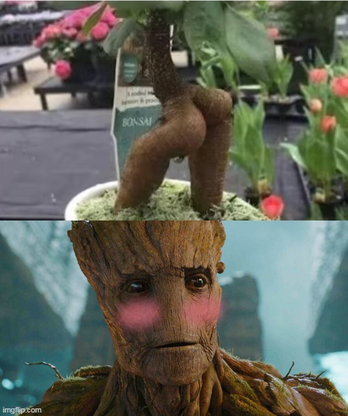 image tagged in memes,groot | made w/ Imgflip meme maker
