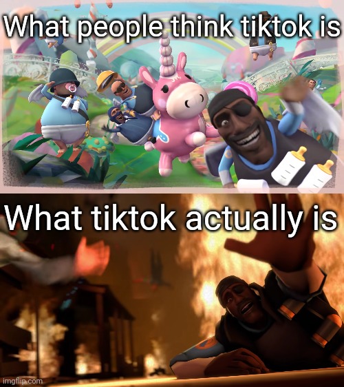 What it actually is | What people think tiktok is; What tiktok actually is | image tagged in imagination vs reality | made w/ Imgflip meme maker