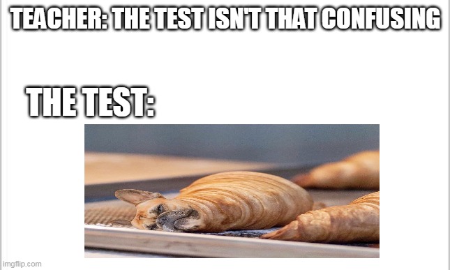 white background | TEACHER: THE TEST ISN'T THAT CONFUSING; THE TEST: | image tagged in white background | made w/ Imgflip meme maker