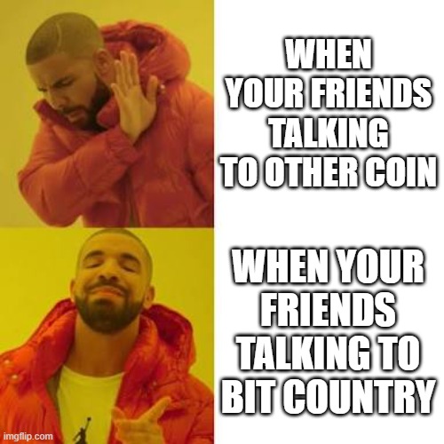 Drake No/Yes | WHEN YOUR FRIENDS TALKING TO OTHER COIN; WHEN YOUR FRIENDS TALKING TO BIT COUNTRY | image tagged in drake no/yes | made w/ Imgflip meme maker