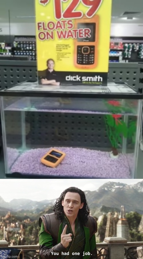 You had one job, Dick Smith | image tagged in you had one job just the one,funny,memes,funny memes,phone,water | made w/ Imgflip meme maker