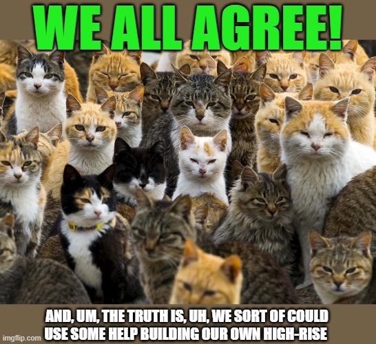 ▬▬ comment specific to comment on my meme of stacked boxes with cats | WE ALL AGREE! AND, UM, THE TRUTH IS, UH, WE SORT OF COULD
USE SOME HELP BUILDING OUR OWN HIGH-RISE | image tagged in sooks n pussies,comment | made w/ Imgflip meme maker