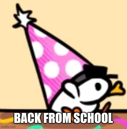 Hat duck | BACK FROM SCHOOL | image tagged in hat duck | made w/ Imgflip meme maker