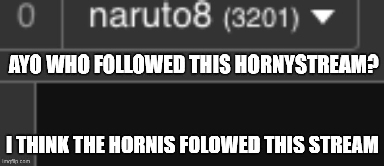 ._. what? | AYO WHO FOLLOWED THIS HORNYSTREAM? I THINK THE HORNIS FOLOWED THIS STREAM | image tagged in thank you so much | made w/ Imgflip meme maker