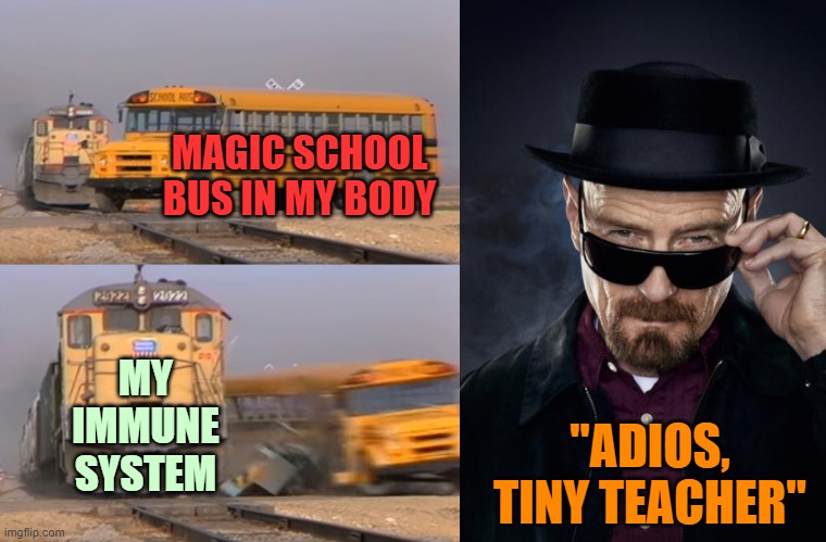 ▬▬ comment specific to comment on my "Unlawful to pass when red light flash" meme | MAGIC SCHOOL BUS IN MY BODY MY IMMUNE SYSTEM "ADIOS, TINY TEACHER" | image tagged in comment | made w/ Imgflip meme maker