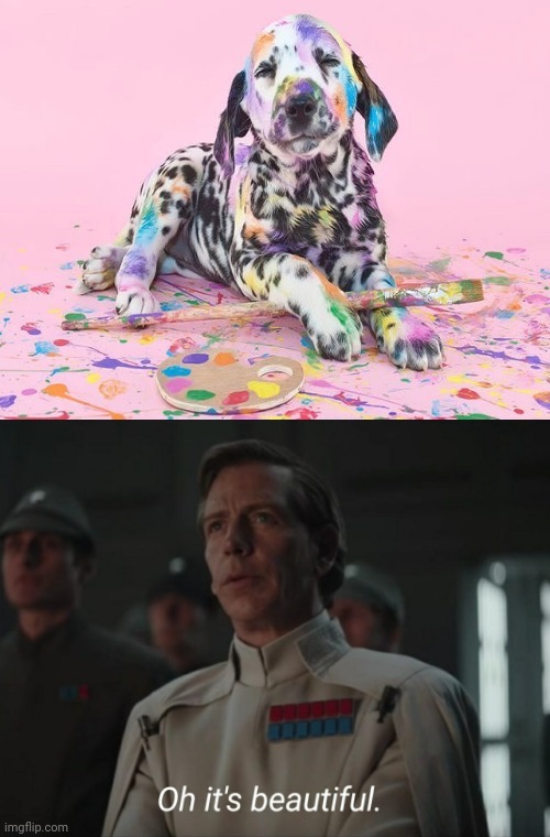 Rainbow dalmatian | image tagged in oh it's beautiful,dogs,dog,memes,meme,animals | made w/ Imgflip meme maker
