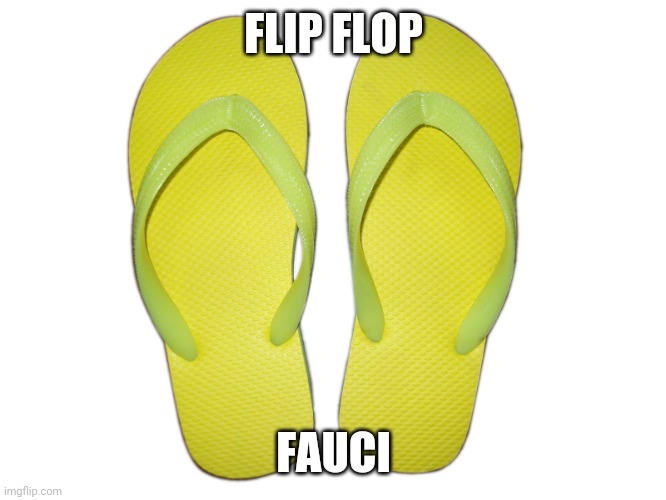 Flip Flops | FLIP FLOP FAUCI | image tagged in flip flops | made w/ Imgflip meme maker
