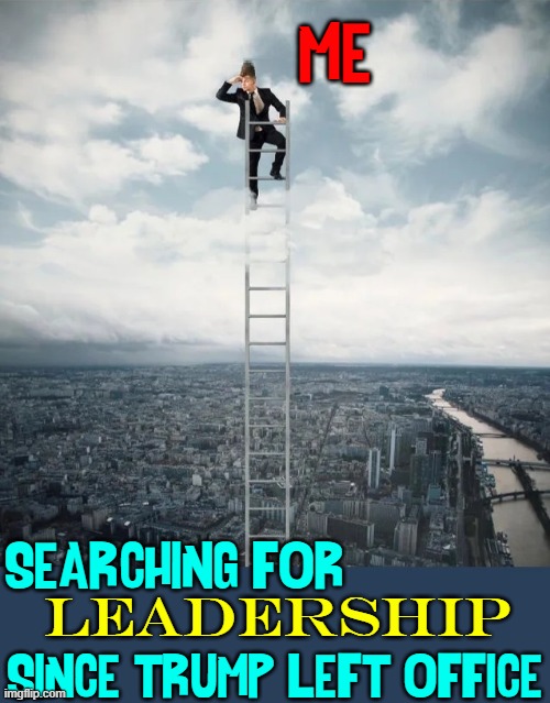 All day I search the barren waste looking for a leader cool-headed leader | ME; SEARCHING FOR; LEADERSHIP; SINCE TRUMP LEFT OFFICE | image tagged in vince vance,donald trump,president trump,leadership,skills,memes | made w/ Imgflip meme maker