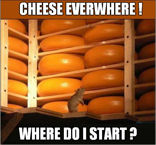 Too Much Choice For Ratty ! | CHEESE EVERWHERE ! WHERE DO I START ? | image tagged in rats,cheese,choice | made w/ Imgflip meme maker
