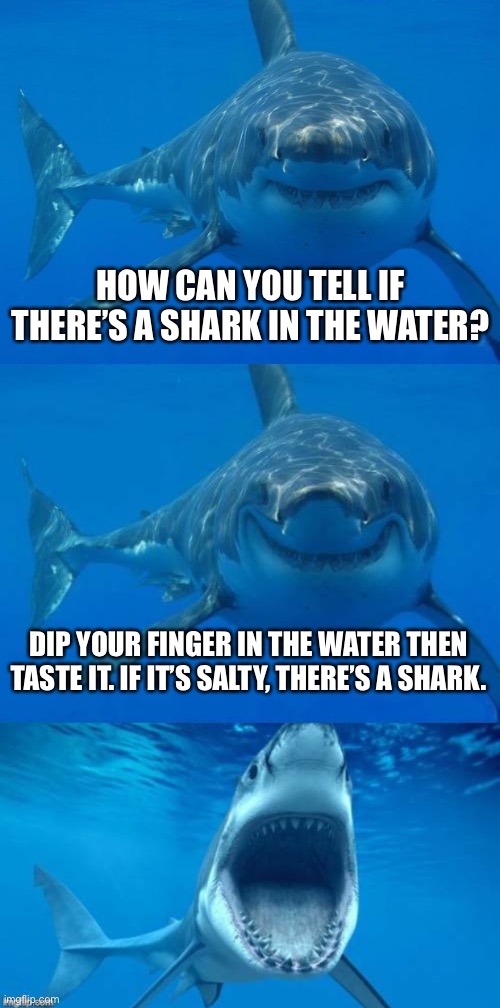 How to check for sharks | HOW CAN YOU TELL IF THERE’S A SHARK IN THE WATER? DIP YOUR FINGER IN THE WATER THEN TASTE IT. IF IT’S SALTY, THERE’S A SHARK. | image tagged in straight white shark,bad shark pun | made w/ Imgflip meme maker