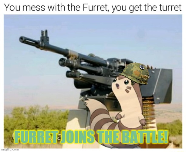 New recruit! | FURRET JOINS THE BATTLE! | image tagged in furret,invasion,pokemon,cute animals | made w/ Imgflip meme maker