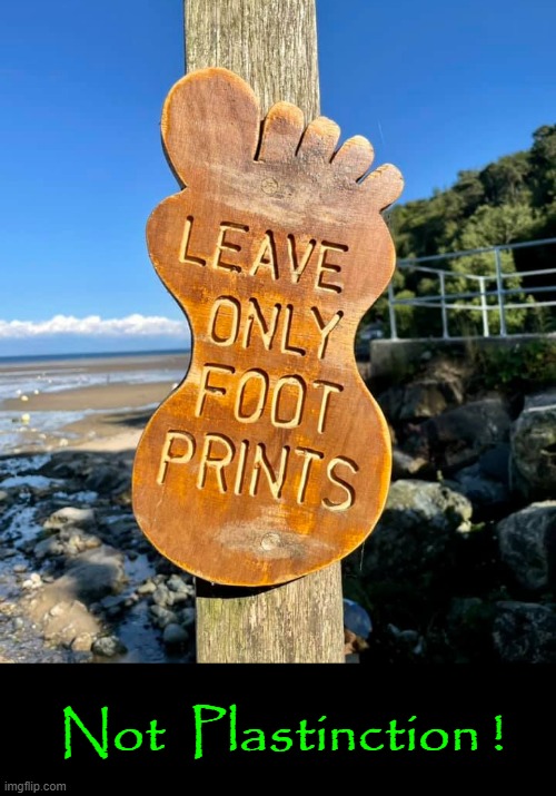 Leave only footprints ! | Not  Plastinction ! | image tagged in plastic | made w/ Imgflip meme maker