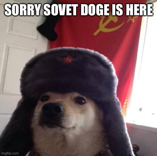 Russian Doge | SORRY SOVET DOGE IS HERE | image tagged in russian doge | made w/ Imgflip meme maker