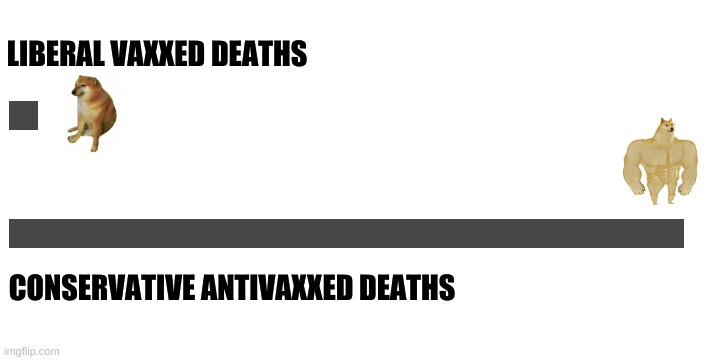winning | LIBERAL VAXXED DEATHS; CONSERVATIVE ANTIVAXXED DEATHS | image tagged in buff doge vs cheems,antivax,conservative logic,winning,misinformation,qanon | made w/ Imgflip meme maker