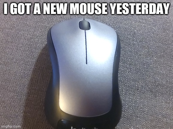 From Logitech | I GOT A NEW MOUSE YESTERDAY | image tagged in mouse,computer | made w/ Imgflip meme maker