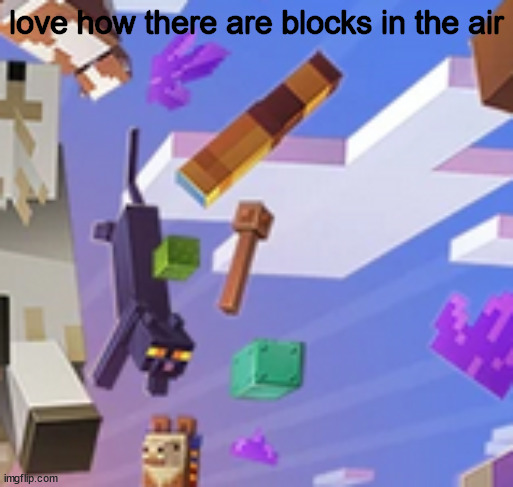 wtf | love how there are blocks in the air | image tagged in memes,prezmemez,hol up,minecraft | made w/ Imgflip meme maker