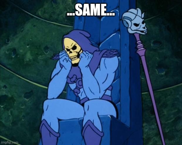Sad Skeletor | ...SAME... | image tagged in sad skeletor | made w/ Imgflip meme maker